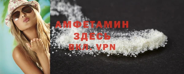 молекула духа Надым