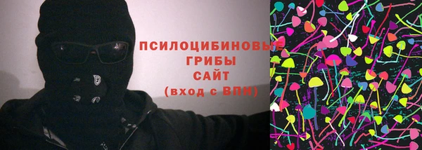 молекула духа Надым