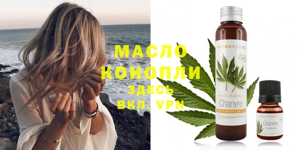 молекула духа Надым